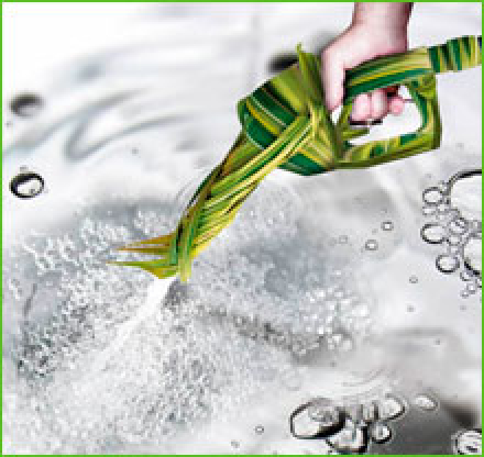 gallery/wp-content-uploads-2012-01-alcool